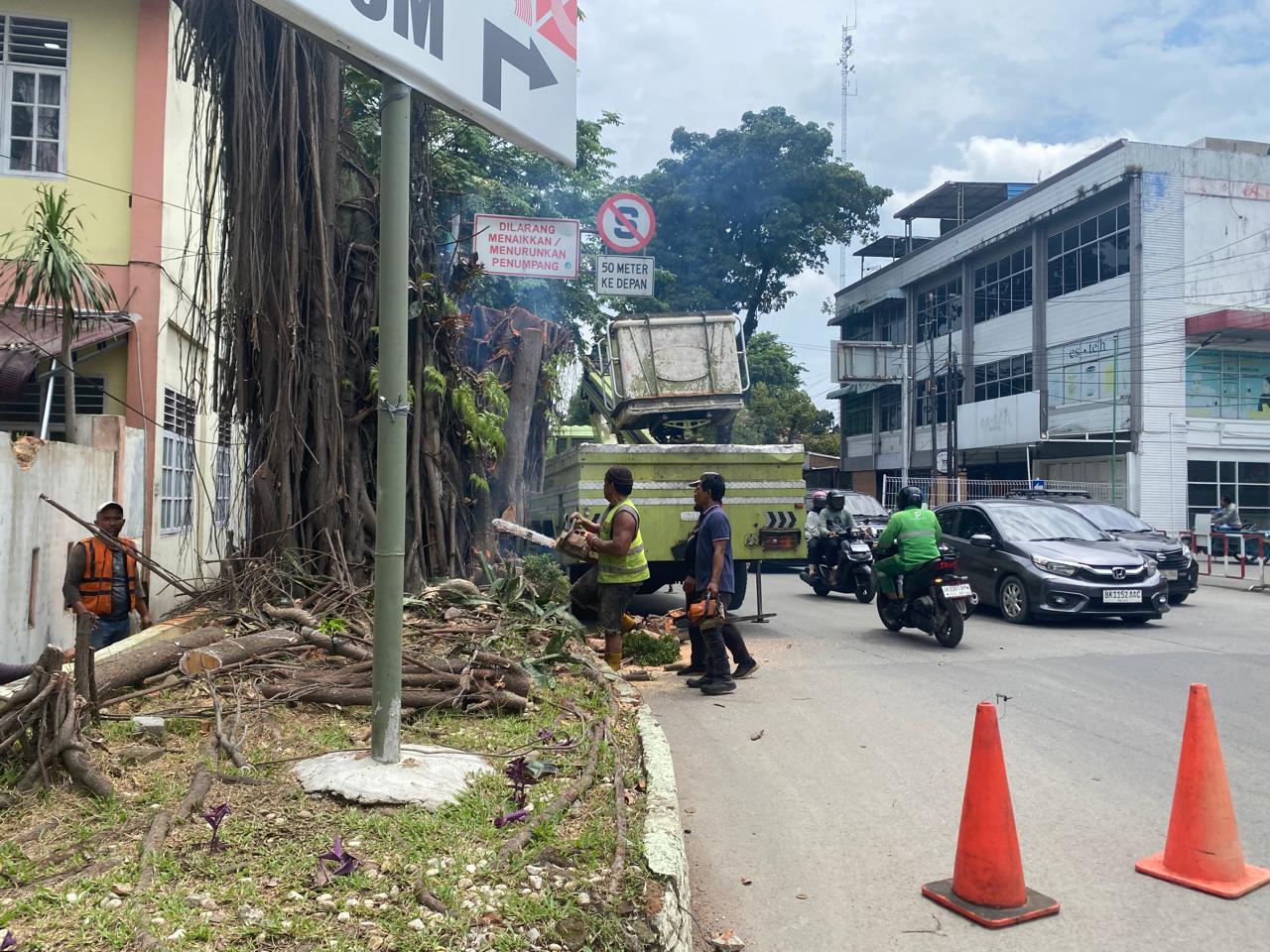 Anggota Dinas SDABMBK Kota Medan Begal Pohon Tanpa K3, Didesak Walikota Medan Dan Inspektorat Periksa Pejabat Pemerintah Kota Medan